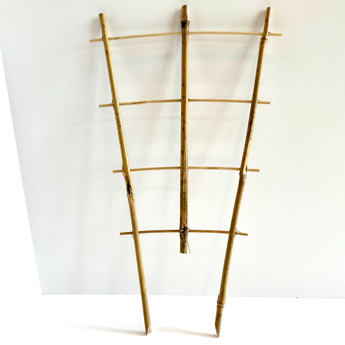 Bamboo Fan Trellis