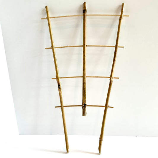 Bamboo Fan Trellis