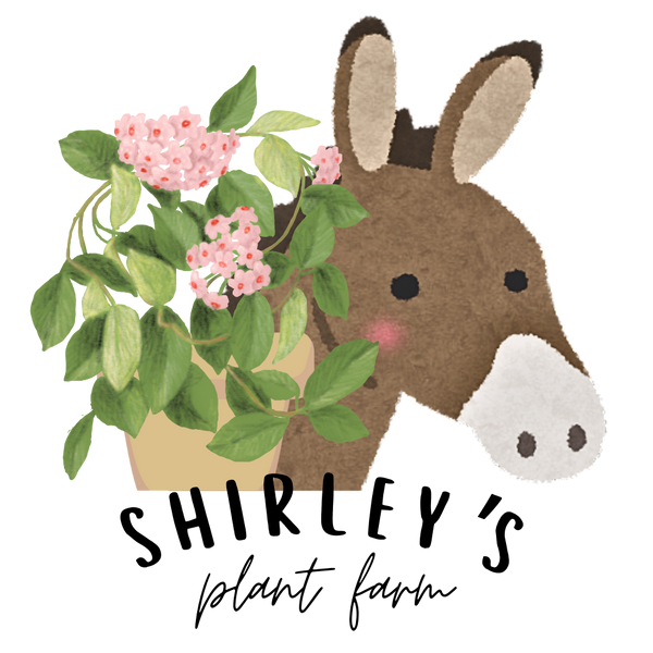 Shirley’s Plant Farm
