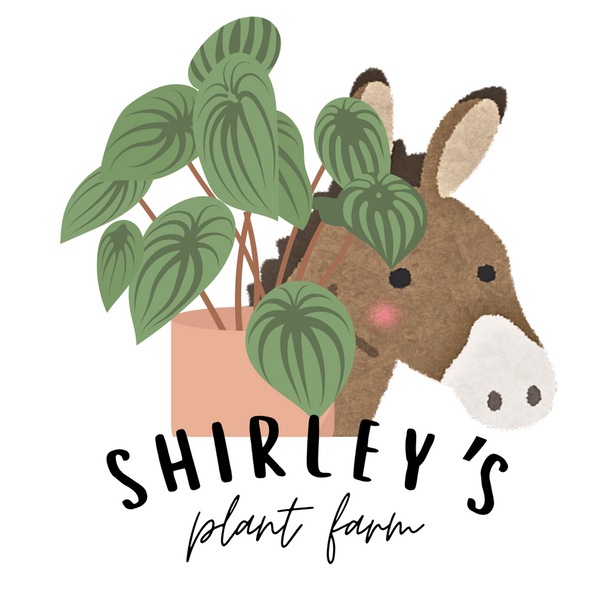 Shirley’s Plant Farm